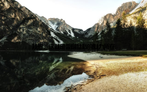 我想, 这就是香烟盆栽的魅力所在