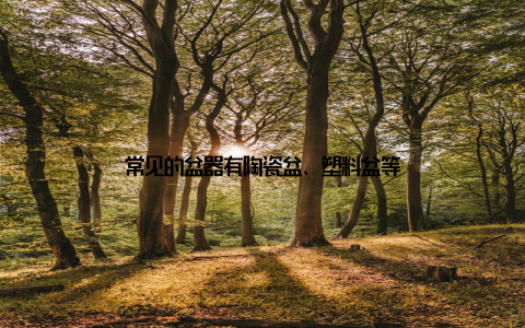 常见的盆器有陶瓷盆、塑料盆等