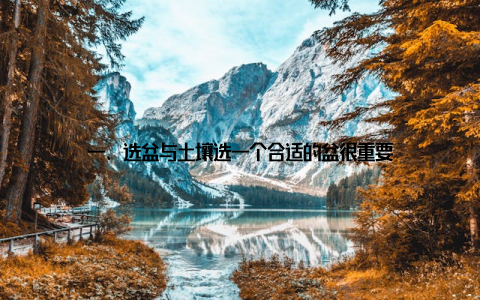 一、选盆与土壤选一个合适的盆很重要