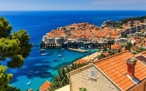 一般来说, 每周施一次薄肥即可