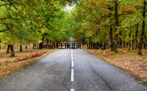 2浇水保持土壤湿润, 但避免积水