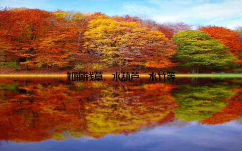 如铜钱草、水葫芦、水竹等