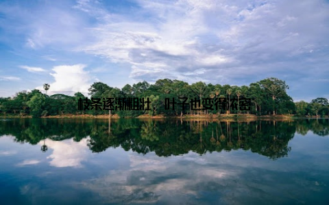 枝条逐渐粗壮, 叶子也变得浓密