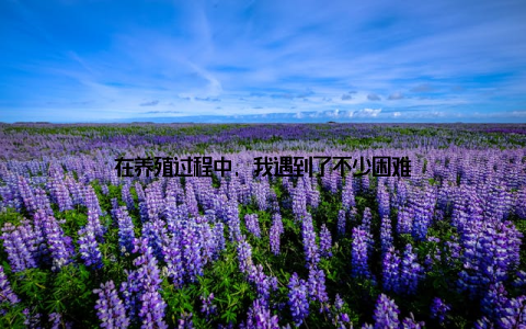 在养殖过程中, 我遇到了不少困难