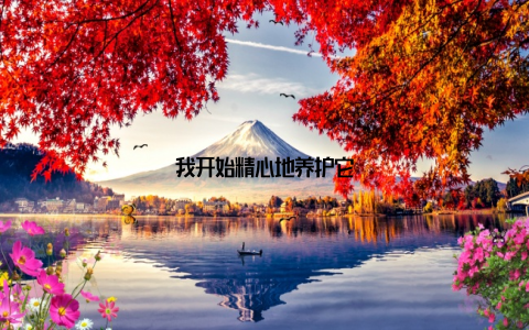 我开始精心地养护它