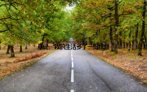 从此, 我的生活多了一份绿意