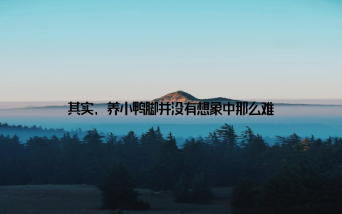 其实, 养小鸭脚并没有想象中那么难