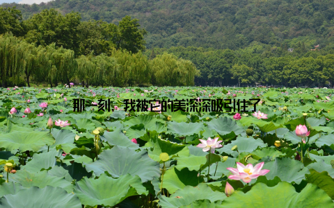 那一刻, 我被它的美深深吸引住了