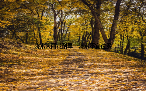 浇水大丽花耐旱, 浇水不宜过多