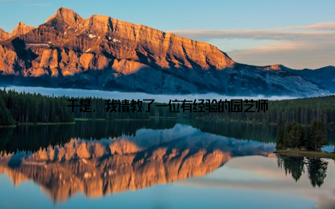 于是, 我请教了一位有经验的园艺师