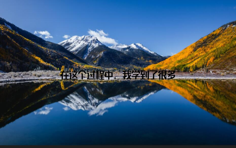 在这个过程中, 我学到了很多