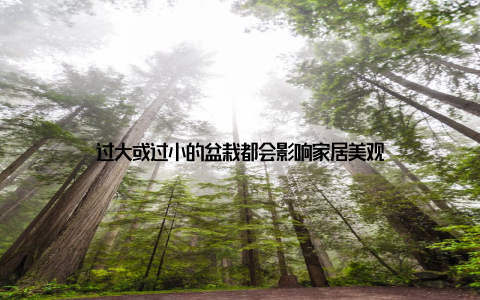 过大或过小的盆栽都会影响家居美观