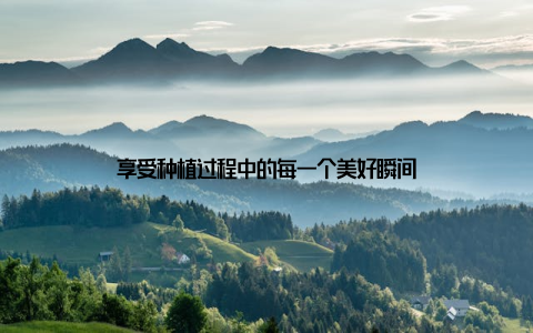 享受种植过程中的每一个美好瞬间