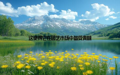 这使得它在园艺市场中备受青睐