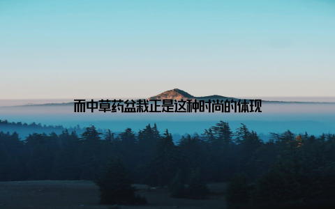 而中草药盆栽正是这种时尚的体现