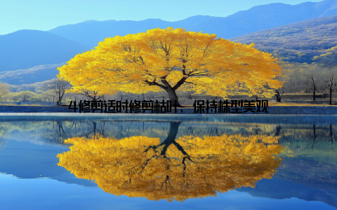 4修剪适时修剪枯叶, 保持株型美观