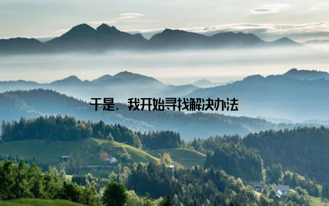 于是, 我开始寻找解决办法