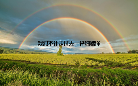 我忍不住走过去, 仔细端详