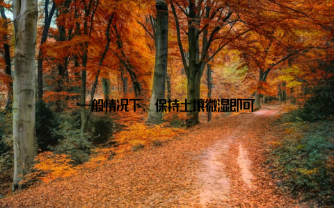 一般情况下, 保持土壤微湿即可