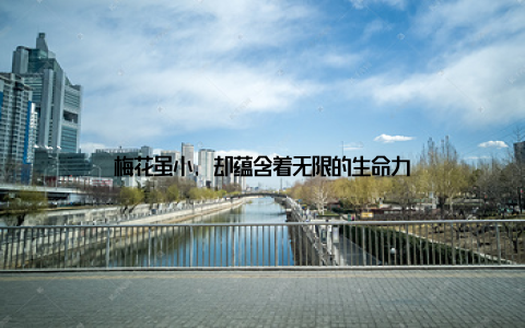 梅花虽小, 却蕴含着无限的生命力