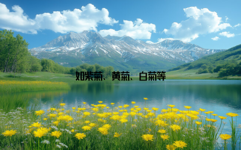 如紫菊、黄菊、白菊等