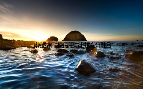 3浇透水, 使底肥与土壤充分融合