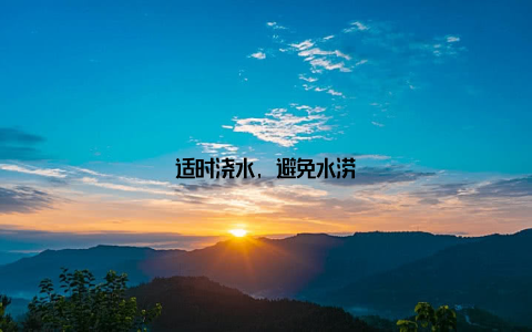 适时浇水, 避免水涝