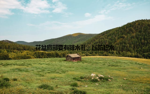 花盆底部要有排水孔, 以防积水