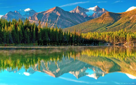 我要说的是选择合适的果树