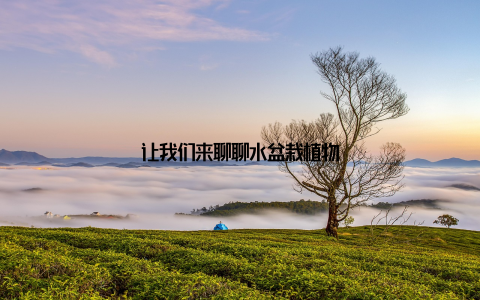 让我们来聊聊水盆栽植物