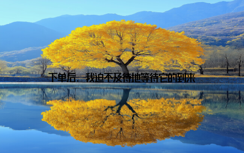 下单后, 我迫不及待地等待它的到来