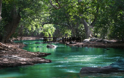 第三步, 种植果树
