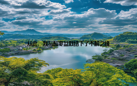 从此, 我与酸枣盆栽结下了不解之缘