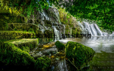 改善土壤定期松土, 保持土壤透气性