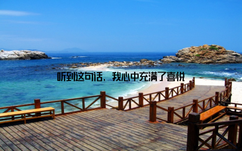 听到这句话, 我心中充满了喜悦