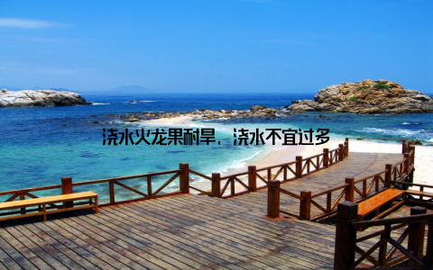 浇水火龙果耐旱, 浇水不宜过多