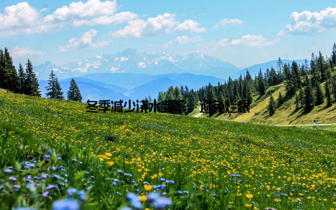 冬季减少浇水频率, 避免烂根