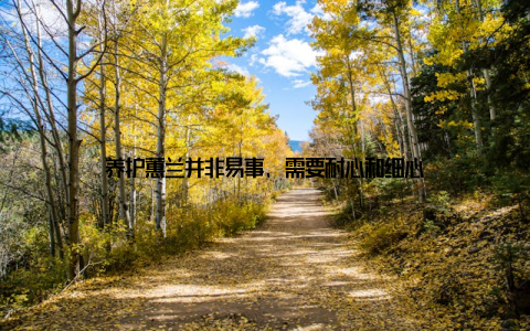 养护蕙兰并非易事, 需要耐心和细心