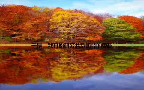 于是, 我开始研究盆栽蚯蚓的奥秘