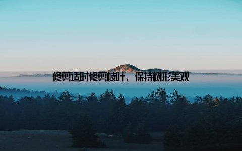 修剪适时修剪枝叶, 保持树形美观