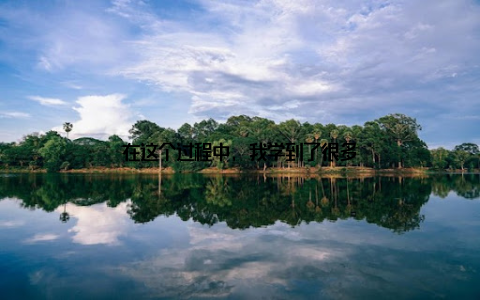 在这个过程中, 我学到了很多