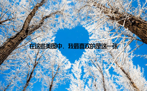 在这些美图中, 我最喜欢的是这一张