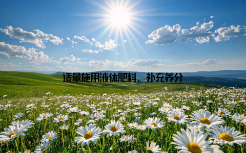 适量施用液体肥料, 补充养分