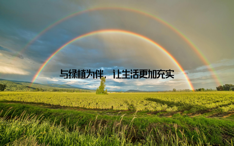 与绿植为伴, 让生活更加充实