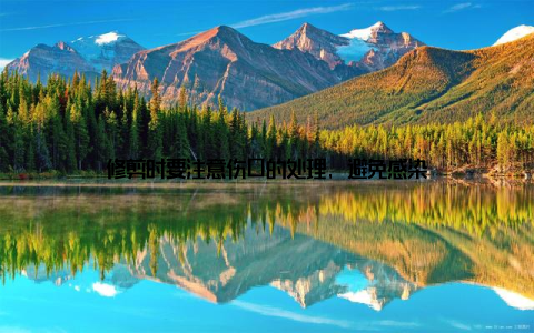 修剪时要注意伤口的处理, 避免感染