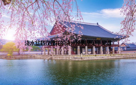 浇水盆栽玫瑰花的浇水原则是见干见湿