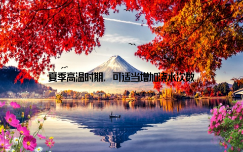 夏季高温时期, 可适当增加浇水次数